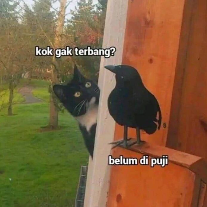 PokerV | PKV Games | Situs Poker PKV QQ Online Terpercaya - WooCommerce eCommerce